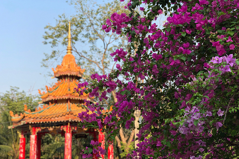 Chinese Pagoda Lumphini Park Bangkok